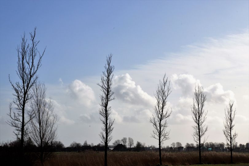 wolkenlucht