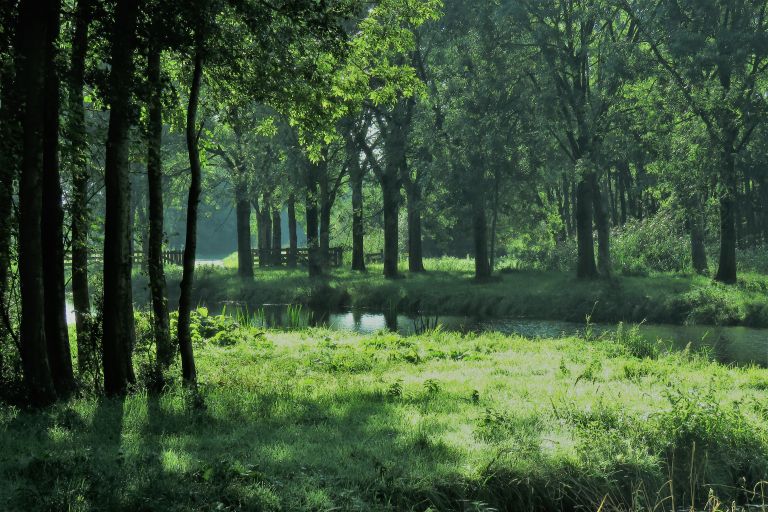 Rasterhofpark in de ochtend