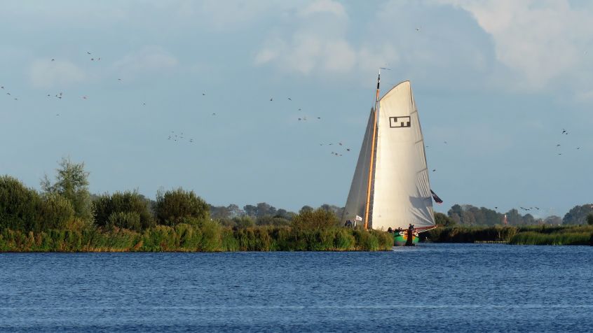 zeilen in de avondzon