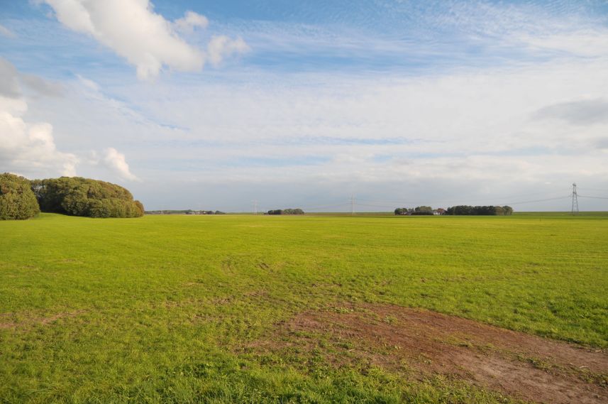 Polderlandschap bij Schokland 4