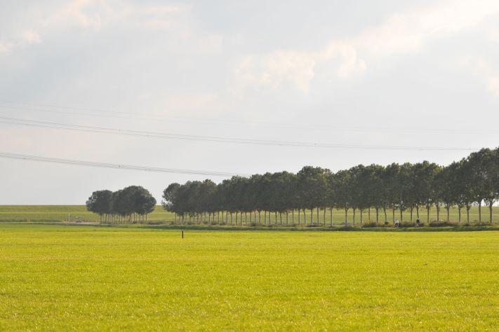 Polderlandschap bij Schokland 2