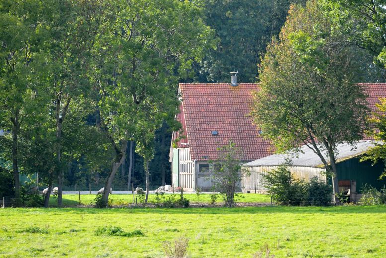 Polderboerderij bij Schokland 1