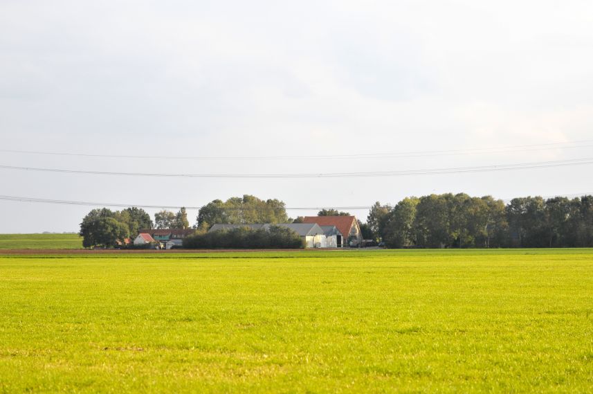 Polderlandschap bij Schokland 1