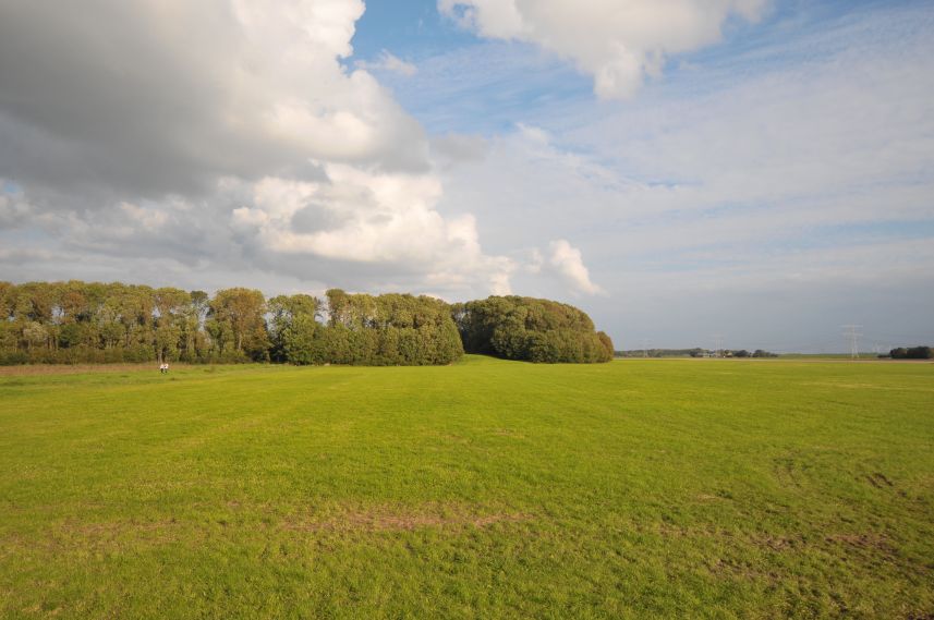 Polderlandschap bij Schokland 3