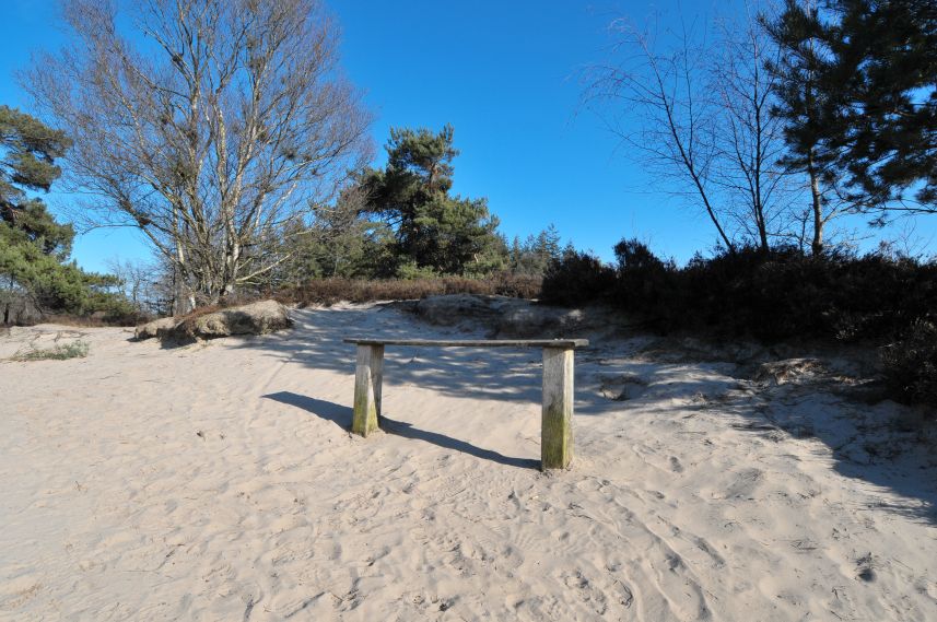 Natuurgebied de Bakkeveense Duinen