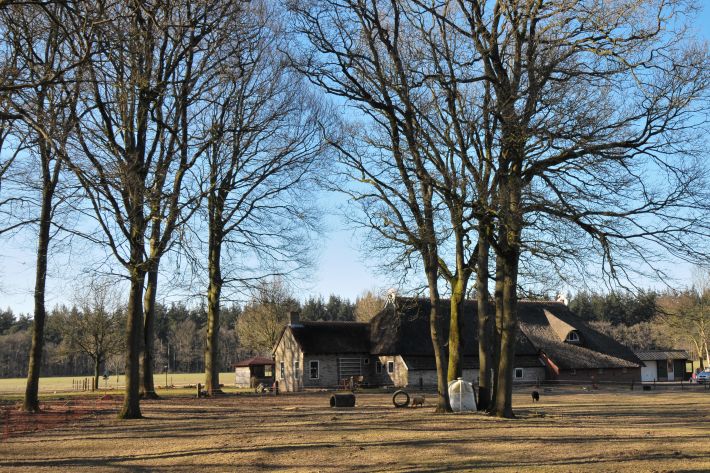 Pittoresk huis nabij Bakkeveen in laagstaande zon