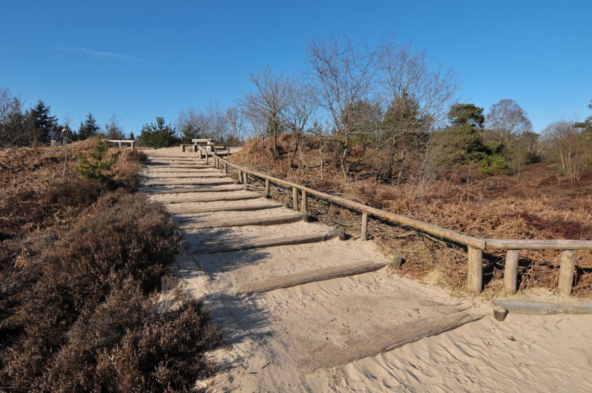 Natuurgebied de Bakkeveense Duinen