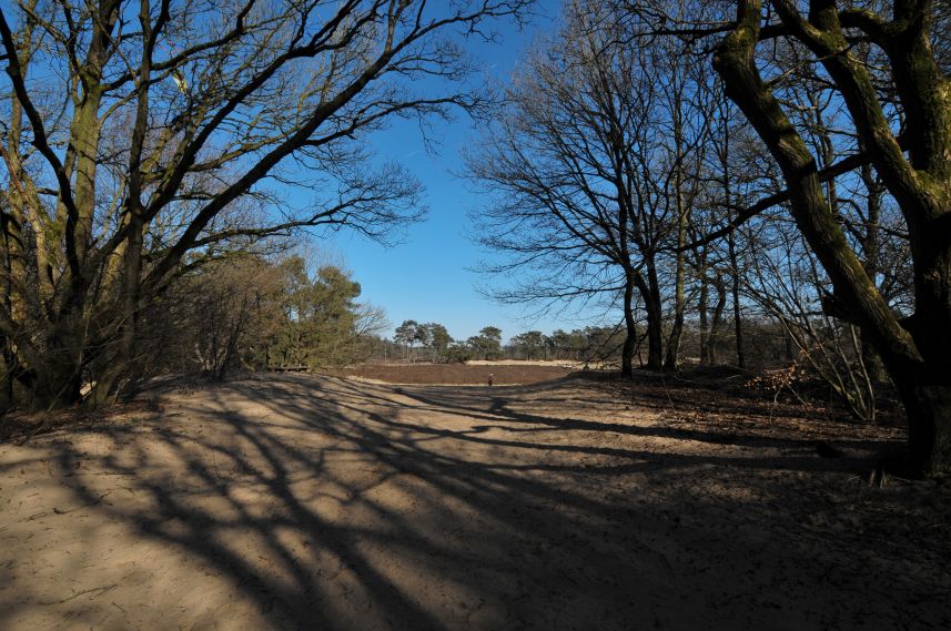 Natuurgebied de Bakkeveense Duinen