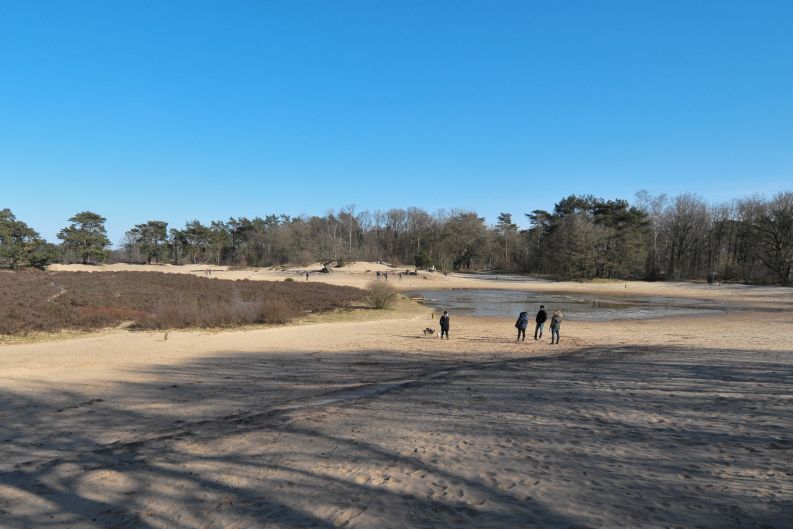 Natuurgebied de Bakkeveense Duinen