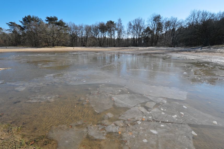 Natuurgebied de Bakkeveense Duinen