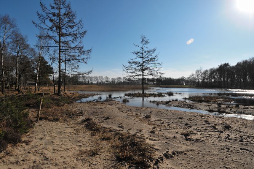 Natuurgebied de Bakkeveense Duinen