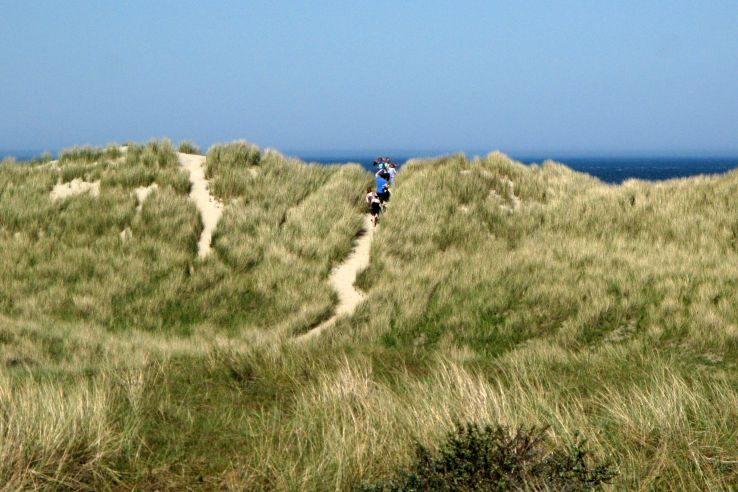 Via de duinen naar het strand