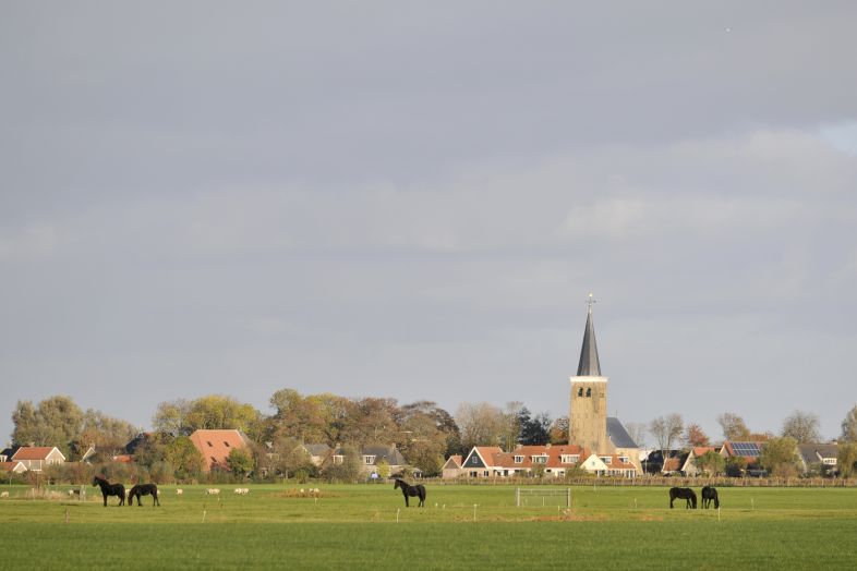 Zicht op Burgwerd 1