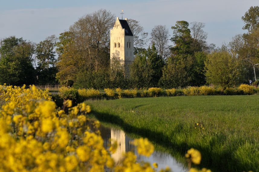 Toren Eagum met bermbloemen in de avondzon