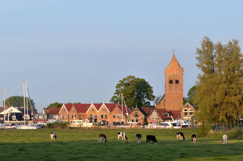 Zicht op Grou in de avondzon met koeien op de voorgrond 2