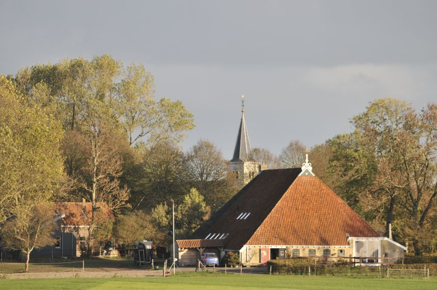 Hidaard in de avondzon met herfstkleuren 4