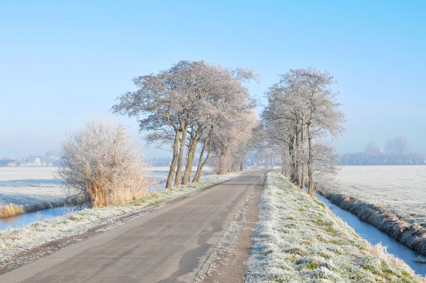 Rijp aan de bomen langs de weg naar Abbenwier nabij Jirnsum