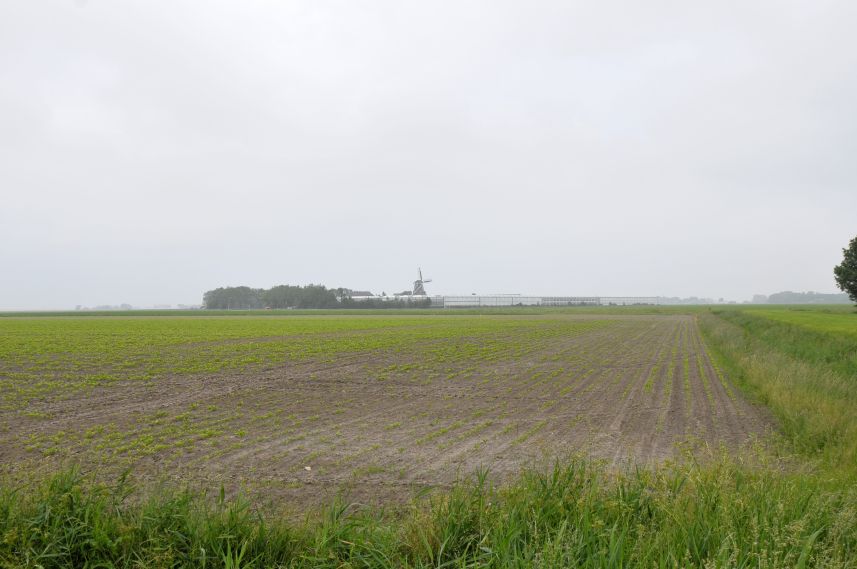 Uitzicht vanuit Metslawier op molen De Ropta