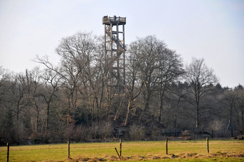 Uitzicht op de Belvedere in Oranjewoud