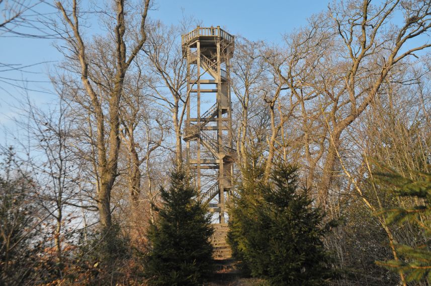 Uitkijktoren in Oranjewoud