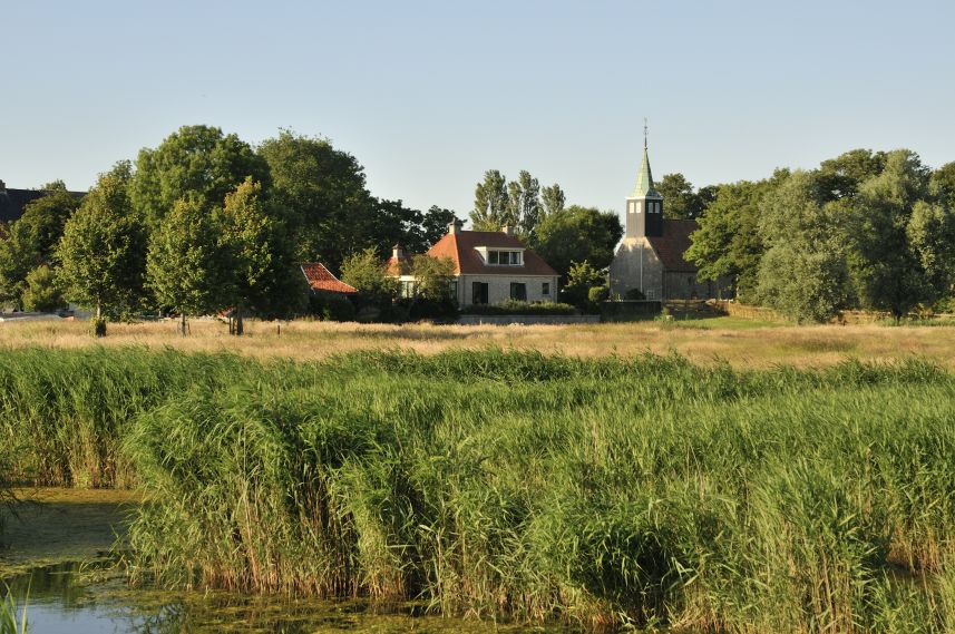 Piaam in de avondzon met rietvelden