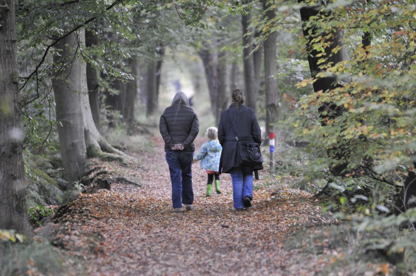 Wandelen op zondagmiddag in het bos bij Sint Nicolaasga