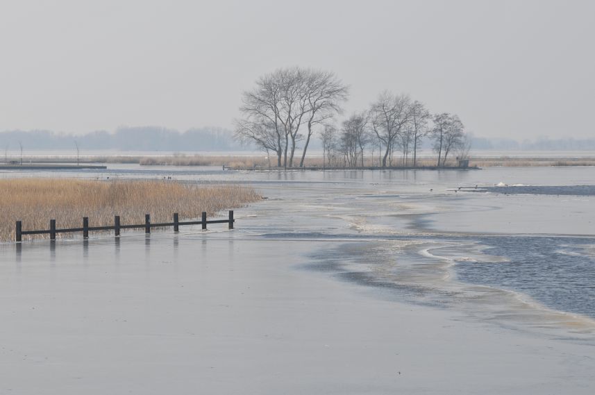 Zoutepoel bij Terherne in de winter