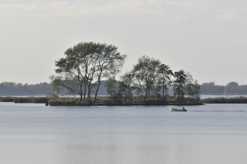 Eilandje in de Zoutepoel nabij Terherne