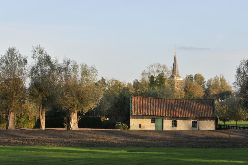 Mooie oude schuur met knotwilgen in Uitwellingerga 2