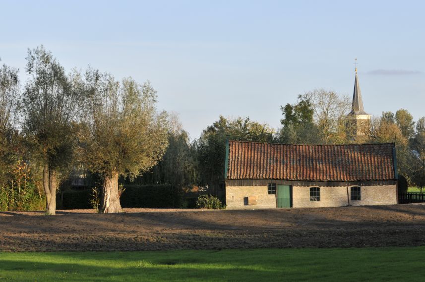 Mooie oude schuur met knotwilgen in Uitwellingerga 1