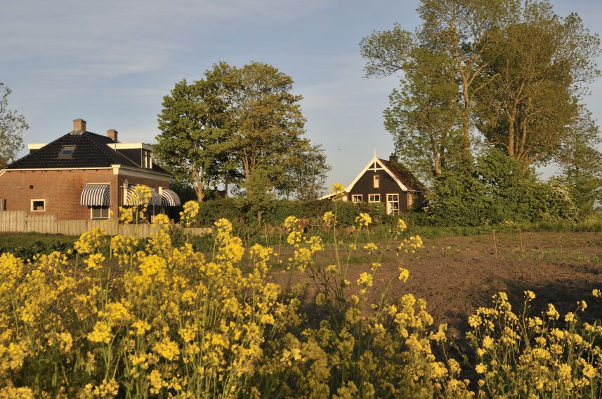 Warstiens in de avondzon