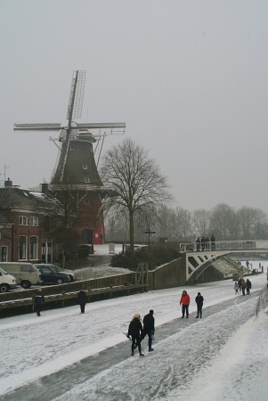 Dokkum