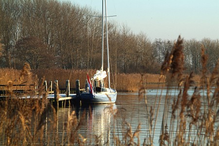 Terherne