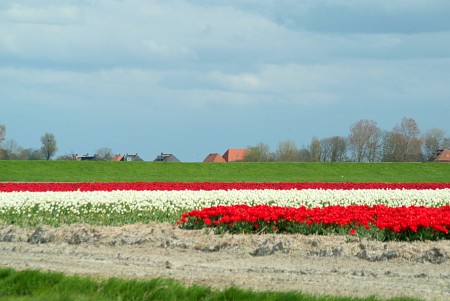 St.-Jacobiparochie