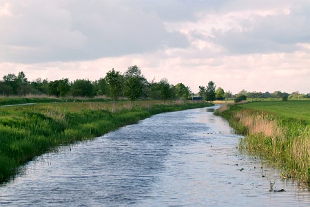 Foto zonder naam