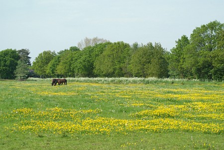 Drachten