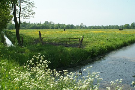 Drachten