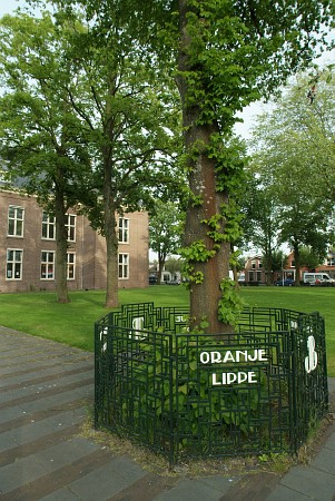 Drachten