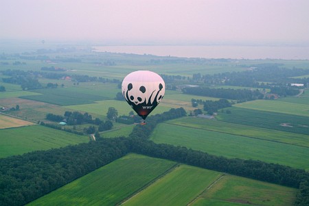 Foto zonder naam