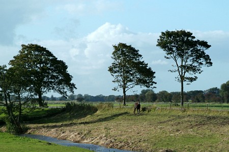 Oudwoude