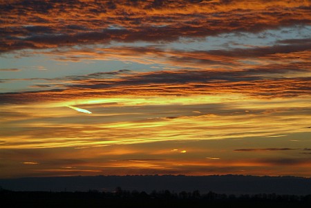 Foto zonder naam