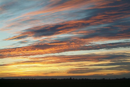 Foto zonder naam