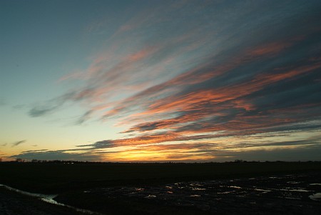 Foto zonder naam