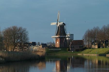 Dokkum