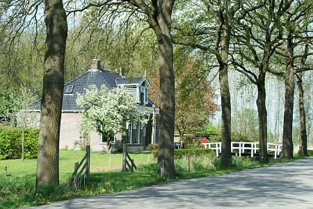 Terwispel