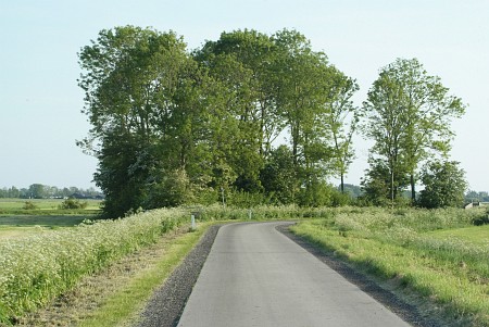 Foto zonder naam