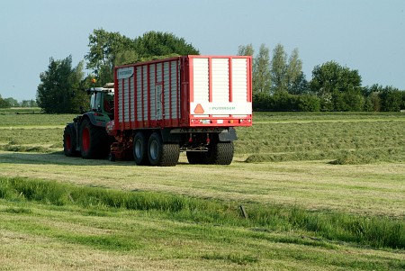 Foto zonder naam