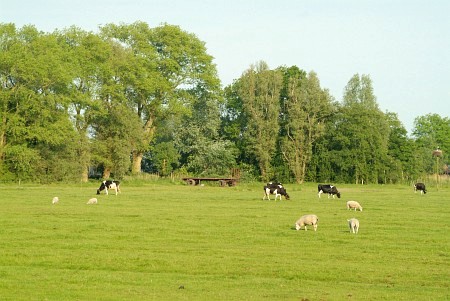 Foto zonder naam