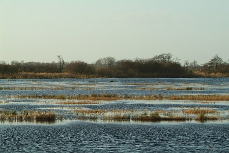 Oudega (Smallingerland)