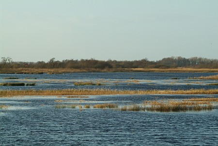 Oudega (Smallingerland)